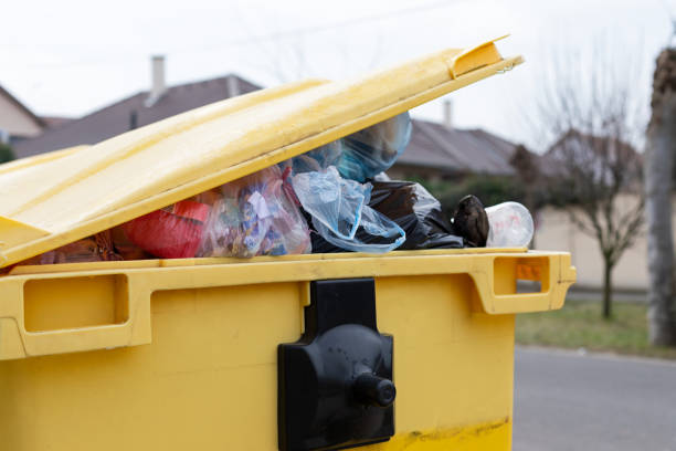 Best Junk Removal for Events  in Franklin, CA